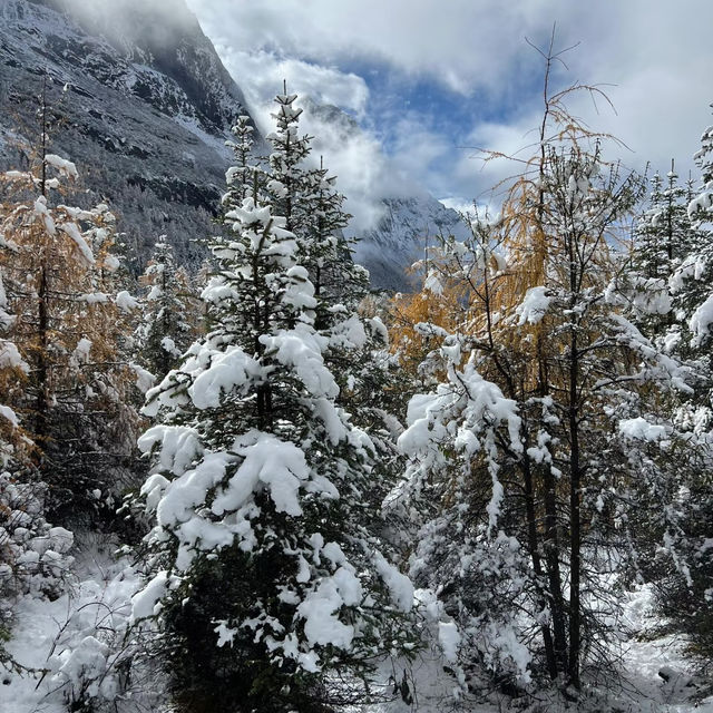 11.18 四姑娘山雪後實拍，比瑞士還像。