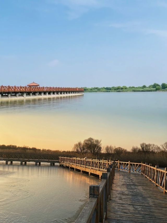 黃河入海口|中華民族的母親河。