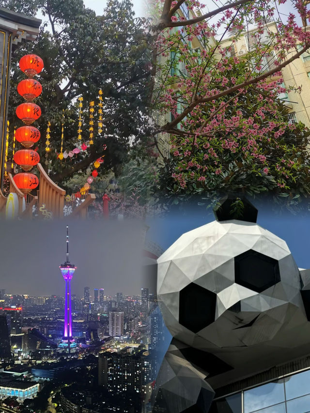 成都｜339｜奇幻夜境，煙火綺夢。