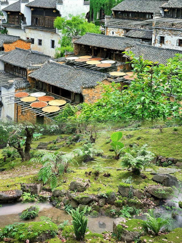 🫰江西旅遊攻略🫰。