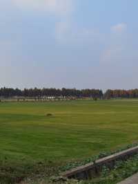 廊下郊野公園。