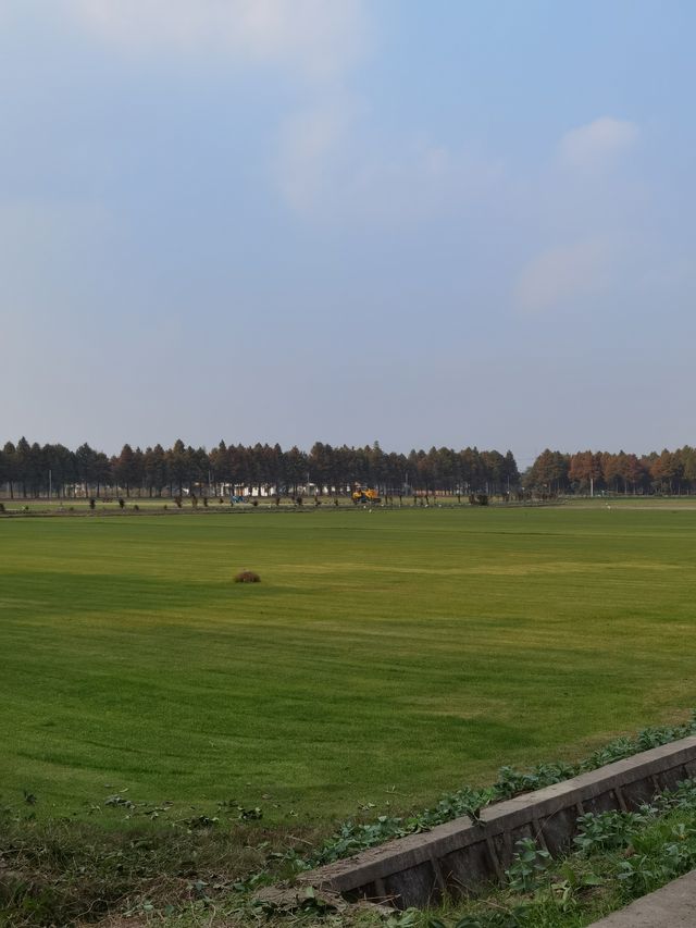 廊下郊野公園。