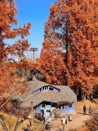 Exploring the Enchanting Moomin Park in Saitama