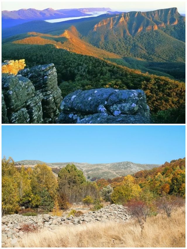 澳洲霍爾斯山谷