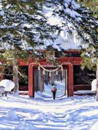 長野戶隱神社雪地徒步，最新遊玩指南～