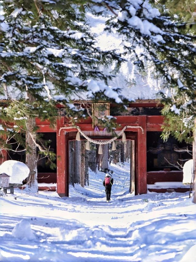 長野戶隱神社雪地徒步，最新遊玩指南～