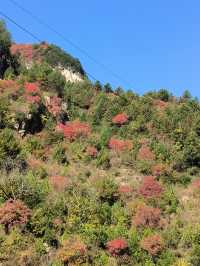 秦嶺峽口紅葉感受大自然的鬼斧神工