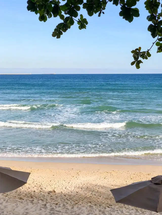 太冷了！來三亞一定要帶上厚衣服啊！