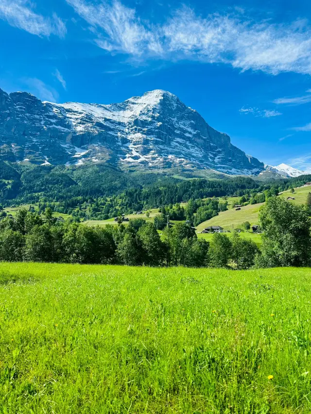 스위스 온천 여행 가족 여행 가이드