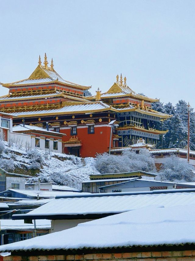 陇南-甘南-天水7日深度遊 每一站都是心動的風景