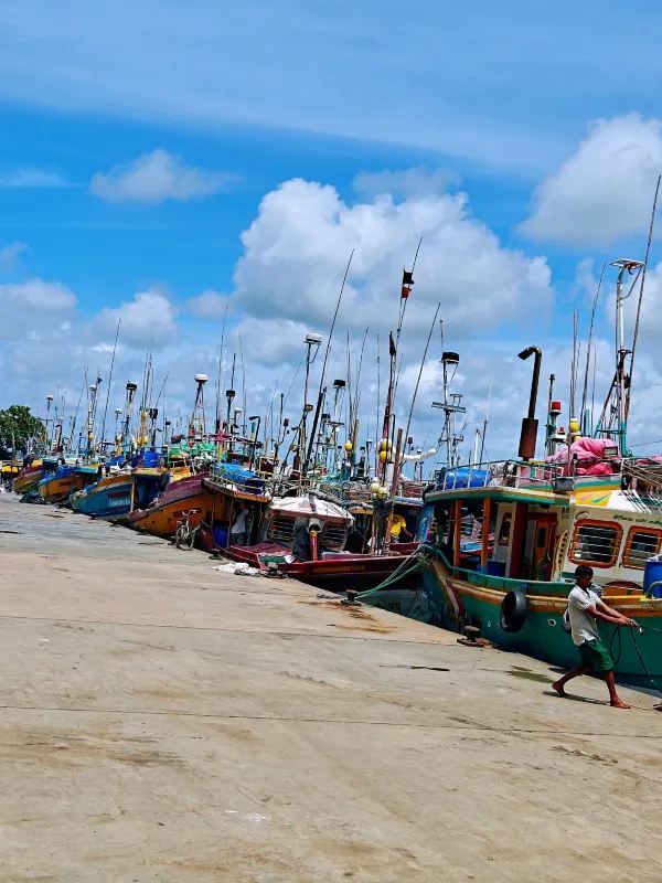 Sri Lanka Whale Watching Adventure