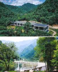 秦嶺秘境超治癒的森系民宿