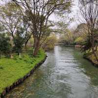 冬日不一樣的西溪湿地公園
