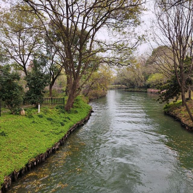 冬日不一樣的西溪湿地公園