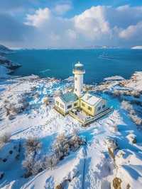 寒假帶娃看雪,威海之行必看攻略!