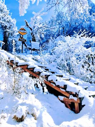 Around Chengdu! The lesser-known snow-capped mountains and forests are breathtakingly beautiful. 