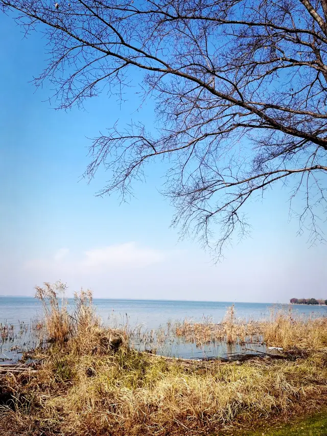 상하이 근교 여행