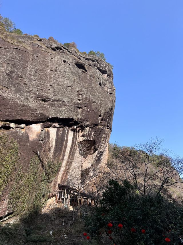 武夷山2日遊老年人玩轉茶山攻略