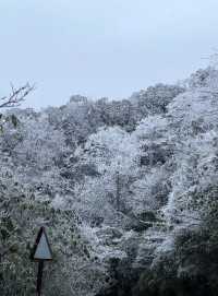 百山計劃–貓兒山