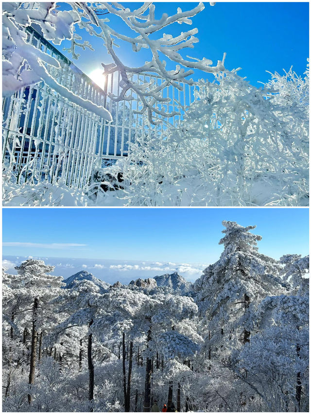 黃山｜12-2月冬季旅行賞雪寶藏地