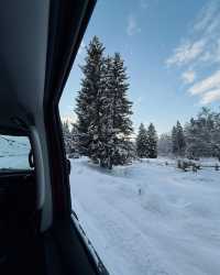 雪國奇遇記：冬日可可托海