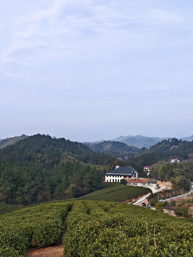 忍唔住喺浙江嘅酒店影咗人生第一張溫泉相