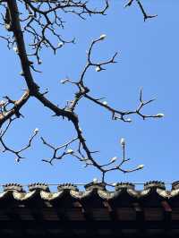 蘇州教育博物館（柴園）