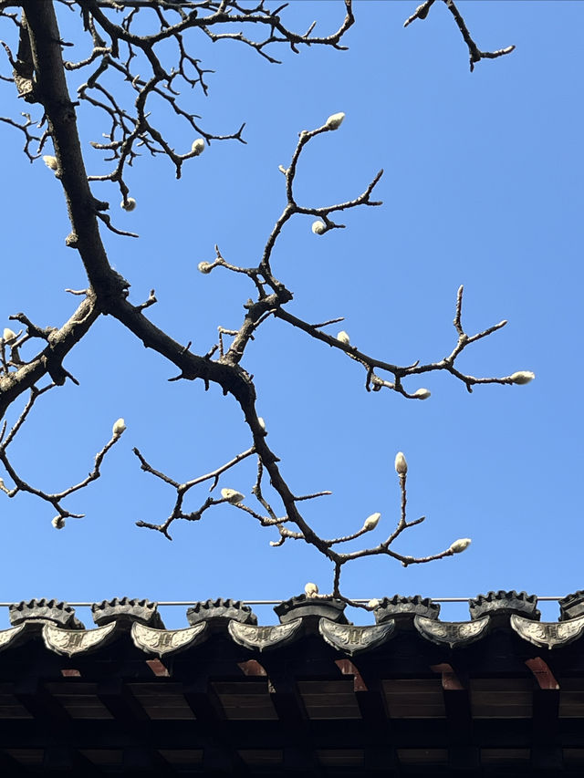 蘇州教育博物館（柴園）