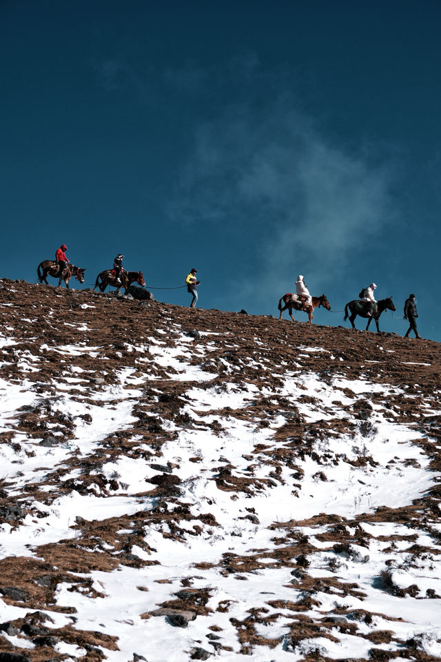 野馬海子徒步—遇見雪山下的藍冰湖泊 野馬海子徒步—遇見雪山下的藍冰湖泊