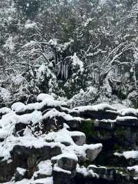 成都周邊一個小時就能到達這個玩雪聖地！