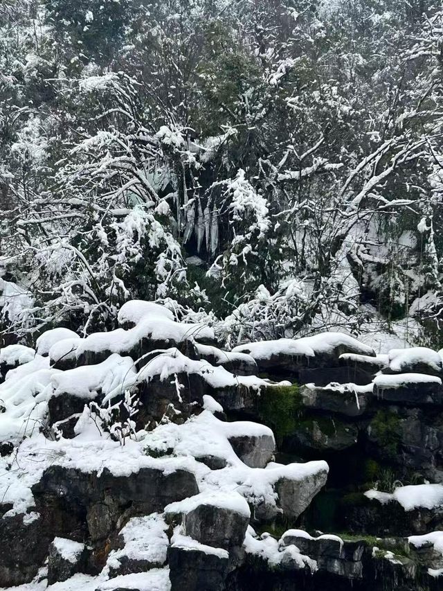 成都周邊一個小時就能到達這個玩雪聖地！
