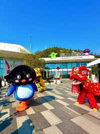 ——珠海市景山公園與索道：奇妙之旅
