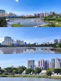 澳門氹仔人工濕地公園，一個小眾寧靜的寶藏之地