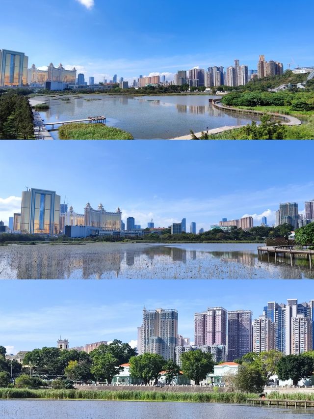 澳門氹仔人工濕地公園，一個小眾寧靜的寶藏之地