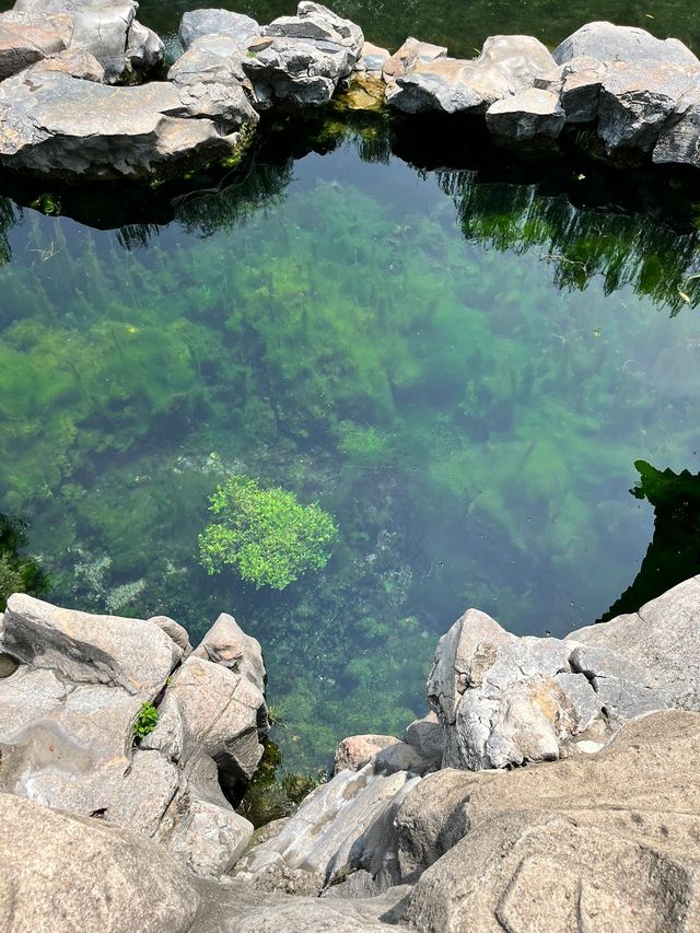 寒假別錯過泰安-濟南-青島超全遊玩攻略 寒假別錯過泰安-濟南-青島超全遊玩攻略