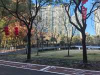 長壽公園重綻光彩，新設施亮點十足