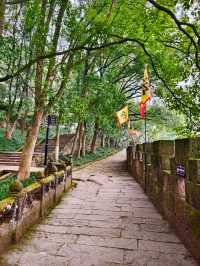 合川區    釣魚城景區-護國門