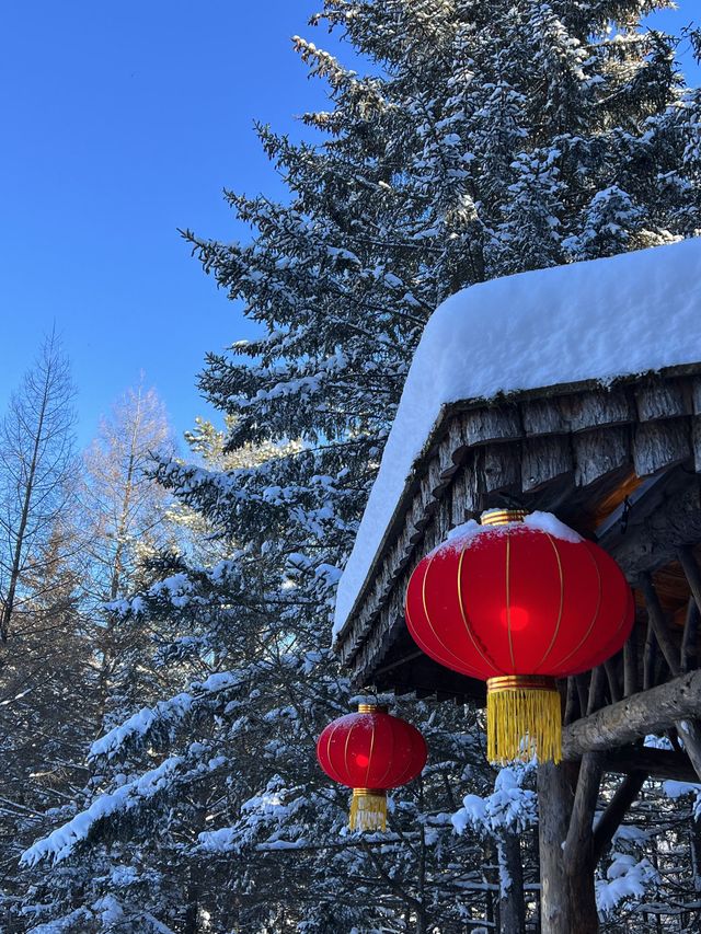 哈爾濱-雪鄉6日遊 超詳細攻略玩轉冰雪世界