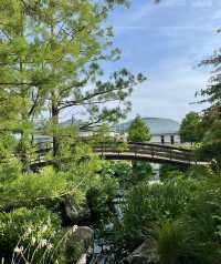 草津市立水生植物公園｜四季畫卷，水生花草繪就的自然詩篇
