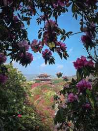 6日漫步黔南-黔東南-遵義 秘境古鎮古村讓你醉入人間仙境
