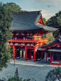 日本賞櫻小眾地推薦：琵琶湖