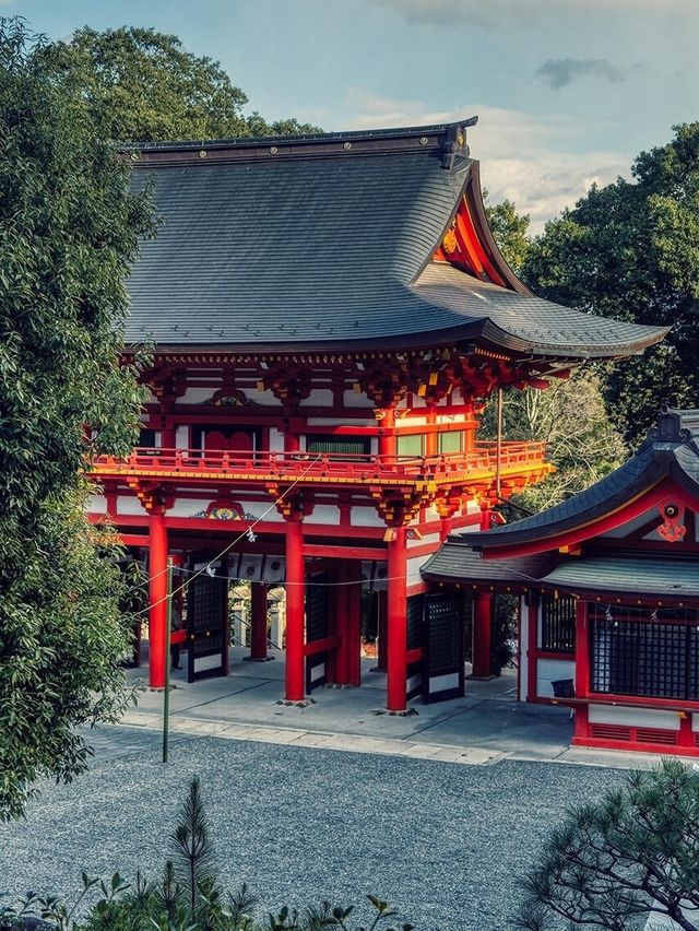 日本賞櫻小眾地推薦：琵琶湖