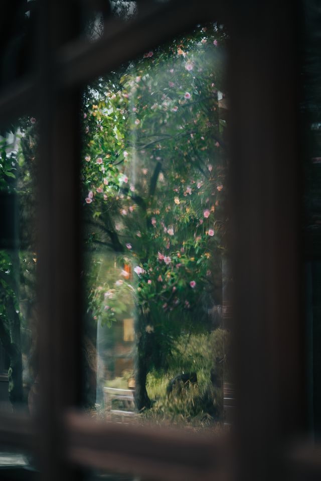 蘇州有個愛情園林春天真是美不勝收～