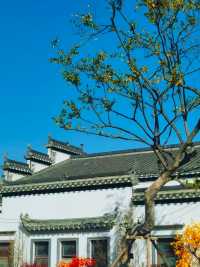 孝感祥雲灣