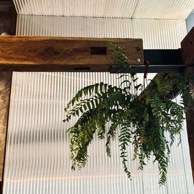 法蘭司烘焙咖啡廳探店奇遇！承包整間店的清晨時光 