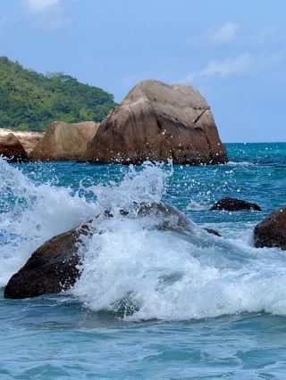 Winter Break in Seychelles? This Guide Has You Covered!