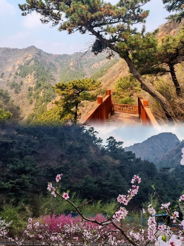 等到春暖花開時，我們一起爬塔寺峪吧！