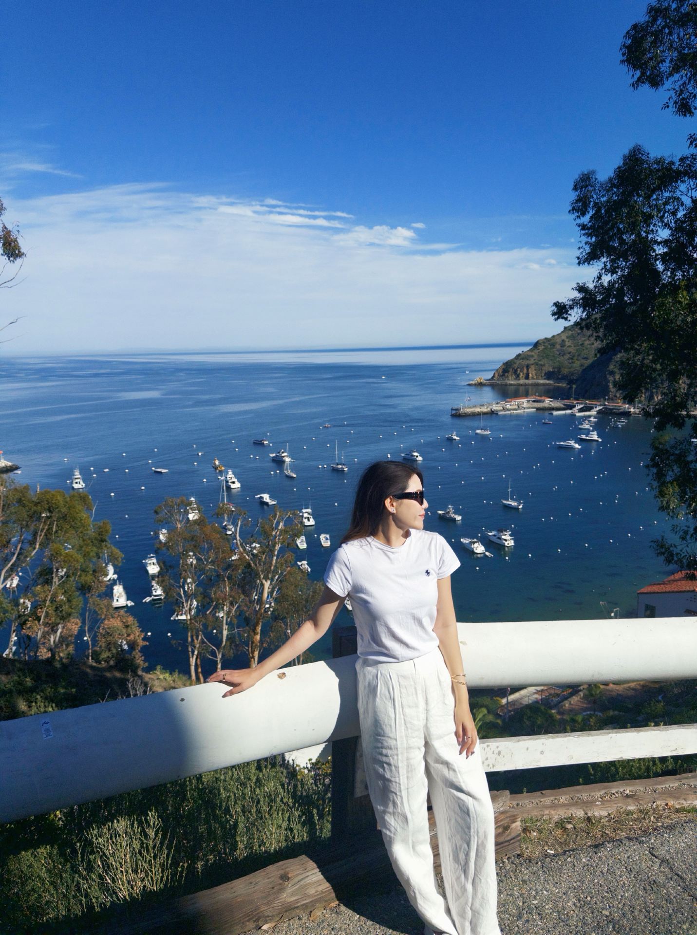 หนึ่งวันบนเกาะ Catalina ในแคลิฟอร์เนียตอนใต้