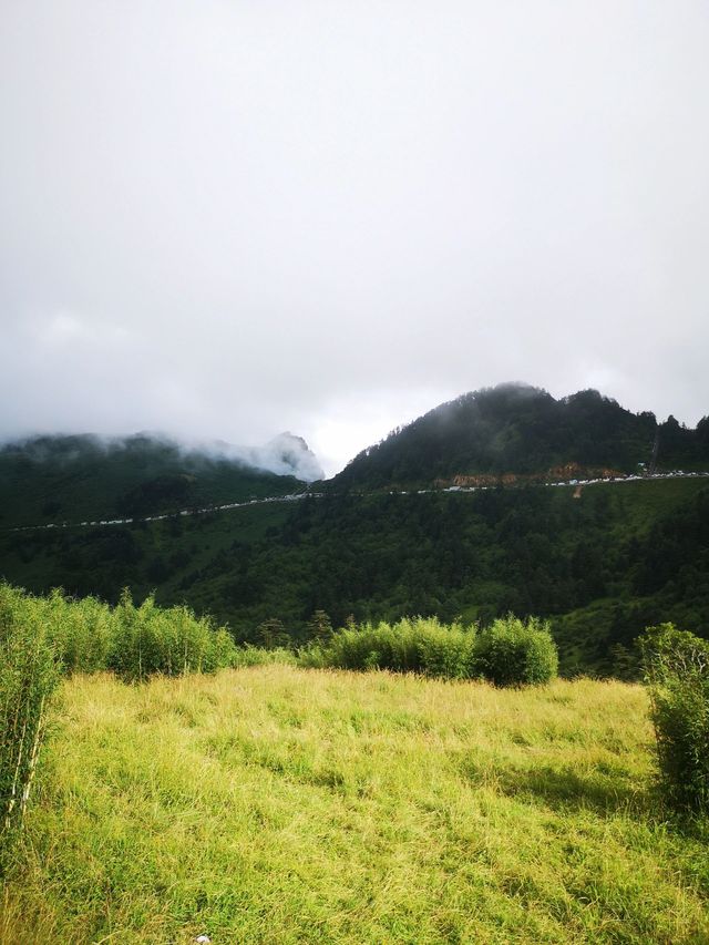 神農架－宜昌｜2日探秘自然山水 美哭了