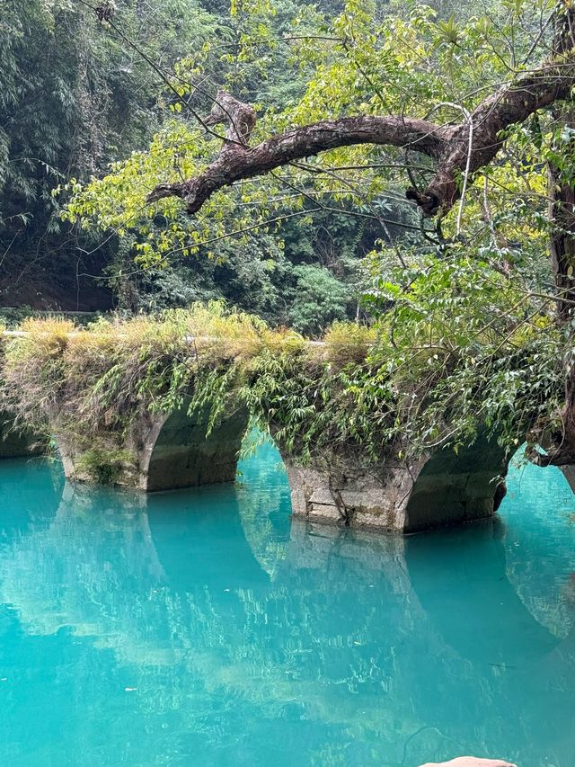 貴州黃果樹-荔波帶孩子遊 櫻花爛漫不可錯過